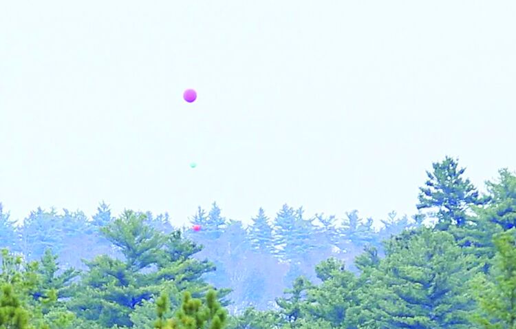Madison ZBA denies cell tower